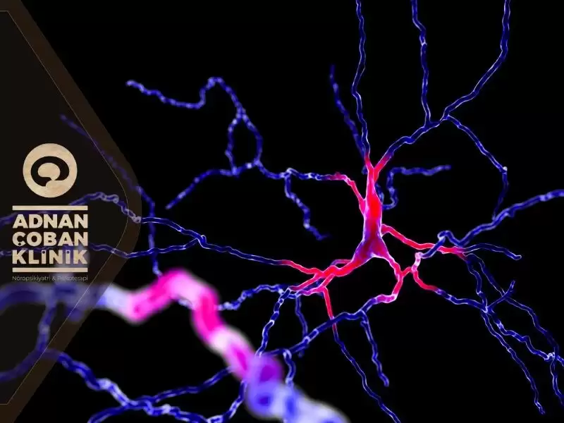 serotonin-noradrenalin-ve-dopamin-nedir