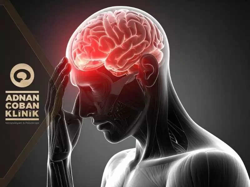 bas-agrisi-makaleler