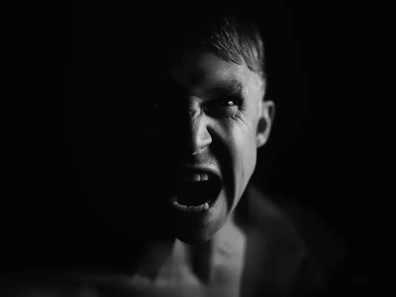 bonzai-kuduz-gibi-saldirginlastiriyor