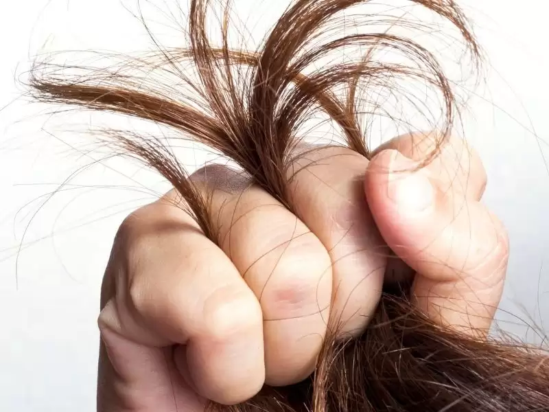 sac-kas-kirpik-yolma-davranisi-nedir