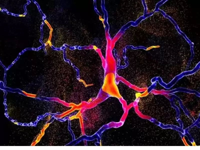 serotonin-noradrenalin-ve-dopamin-nedir